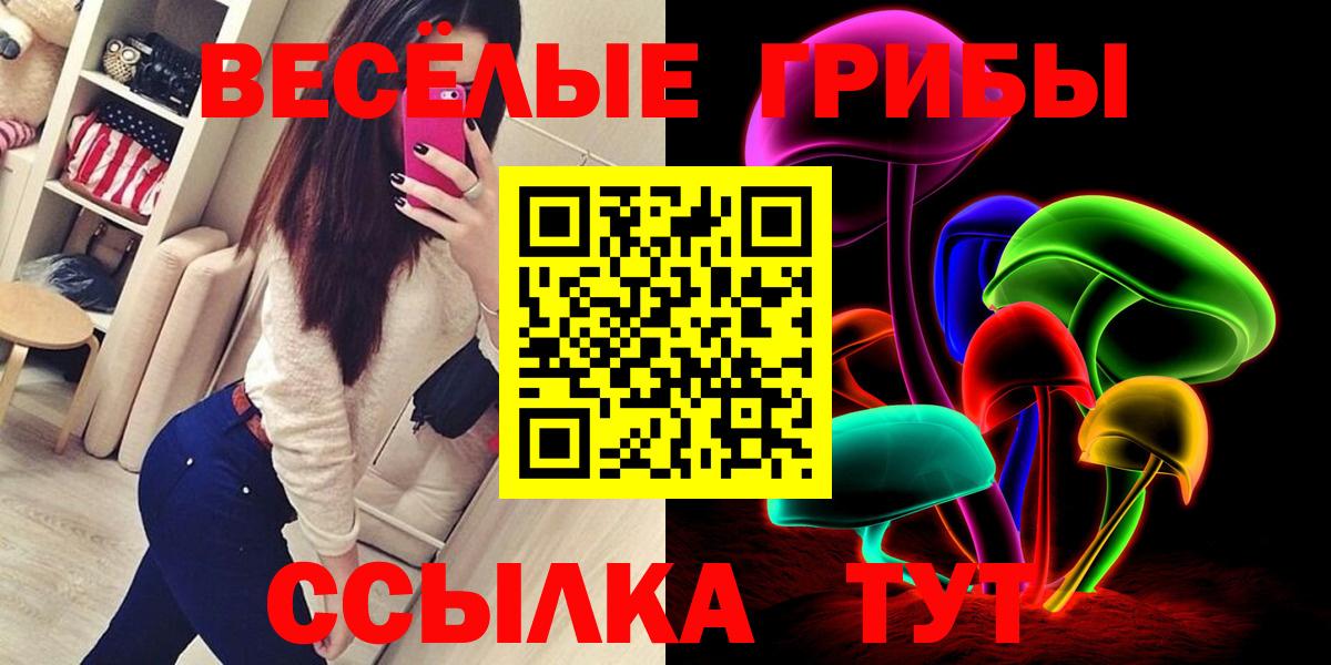что такое наркотик  Галлюциногенные грибы Psilocybe  Вход с VPN  Хасавюрт 